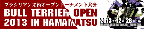 btopen2013logo2